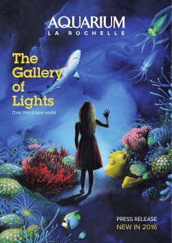 The Gallery of Lights - Aquarium La Rochelle