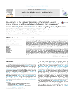 Biogeography of the Malagasy Celastraceae: Multiple independent