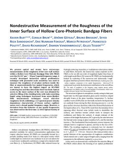 Nondestructive Measurement of the Roughness of
