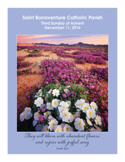 Third Sunday of Advent