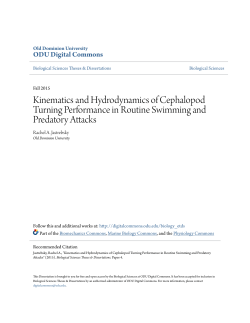 Kinematics and Hydrodynamics of Cephalopod Turning