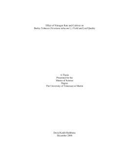 Effect of Nitrogen Rate and Cultivar on Burley Tobacco