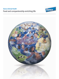 Food and companionship enriching life