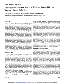 Karyotypes of Rats from Strains of Different