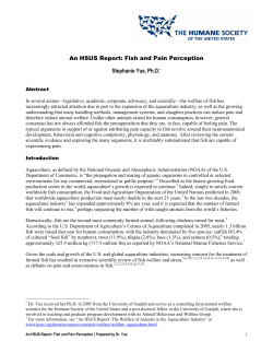Fish and Pain Perception - The Humane Society of the United States