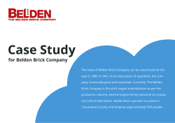 Belden-Brick - SmartCloud Connect for Salesforce