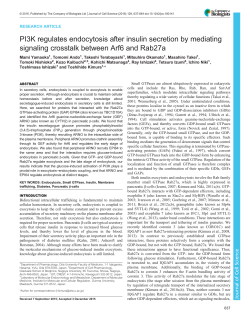 PI3K regulates endocytosis after insulin secretion by mediating