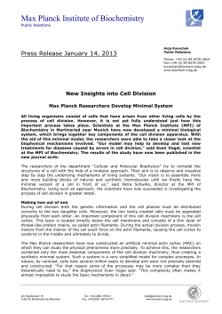New Insights into Cell Division - Max-Planck