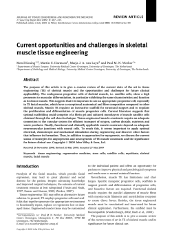 Current opportunities and challenges in skeletal muscle tissue
