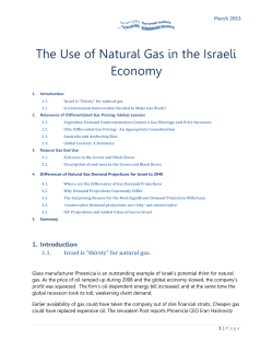 The Use of Natural Gas in the Israeli Economy