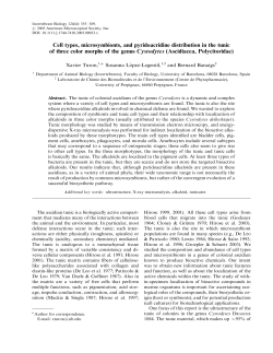 Invertebrate Biology 124(4)