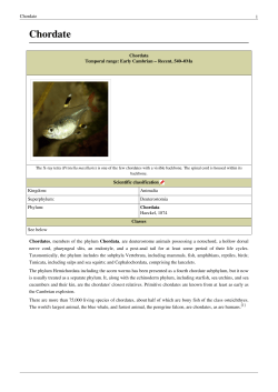 Chordate - aquaticnation.org