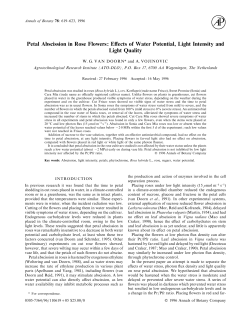 Petal Abscission in Rose Flowers: Effects of Water Potential, Light