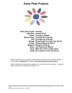 Daisy Petal Projects - USA Girl Scouts
