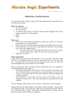 Experiment on effects of the Sun