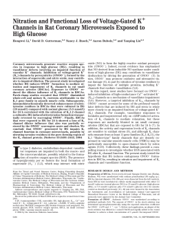 Nitration and Functional Loss of Voltage-Gated K