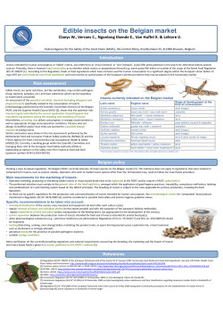 Edible insects on the Belgian market