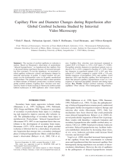 Capillary Flow and Diameter Changes during