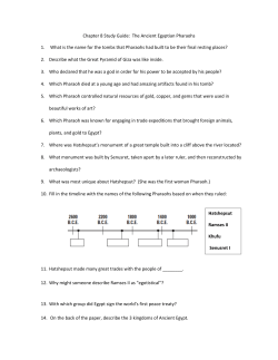 Chapter 8 Study Guide
