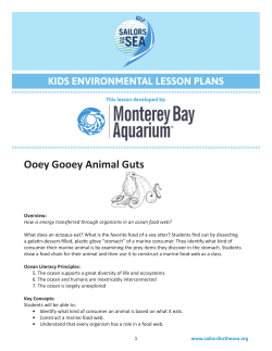 Ooey Gooey Animal Guts