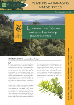 4.2 Lessons from nature
