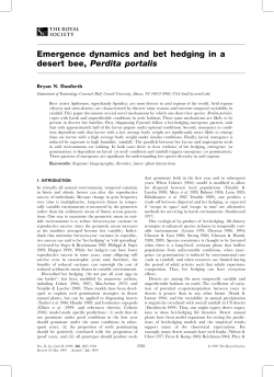 Emergence dynamics and bet hedging in a desert