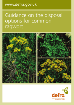 Guidance on the disposal options for common ragwort