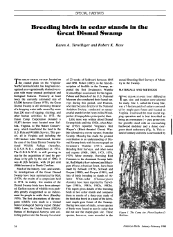 Breeding birds in cedar stands in the Great Dismal Swamp