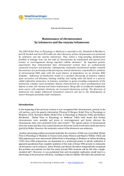 Maintenance of chromosomes by telomeres and