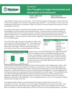 Sugar Fermentation and Metabolism