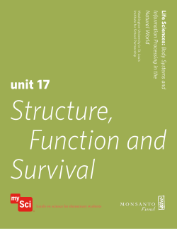 unit 17 - Institute for School Partnership