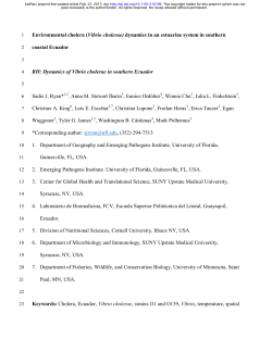 Environmental cholera (Vibrio cholerae) dynamics in an