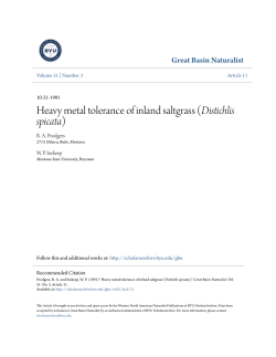 Heavy metal tolerance of inland saltgrass (Distichlis spicata)