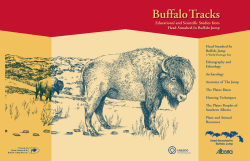 Buffalo Tracks - Alberta History