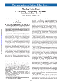 Commentaries on Cutting Edge Science