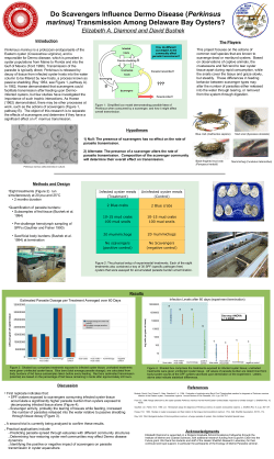 Do Scavengers Influence Dermo Disease (Perkinsus marinus