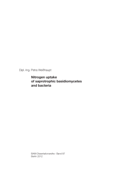 Nitrogen uptake of saprotrophic basidiomycetes and