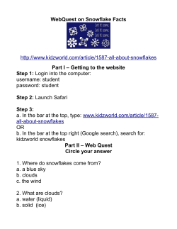 PDF document of the Snowflake Webquest
