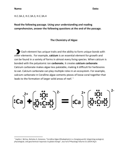 File - Science Spotlight