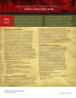 Considerations for Prescribed Burning