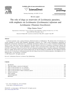 The role of dogs as reservoirs of Leishmania parasites, with