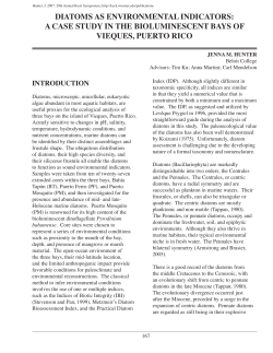 diatoms as environmental indicators: a case study in the