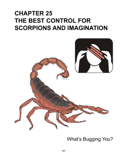 Chapter 25 - The Best Control for Scorpions and