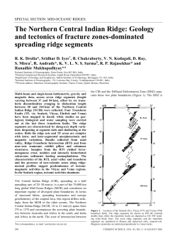 The Northern Central Indian Ridge