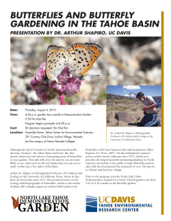 butterflies and butterfly gardening in the tahoe basin