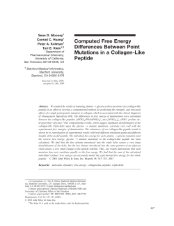 Computed Free Energy Differences Between Point Mutations in a