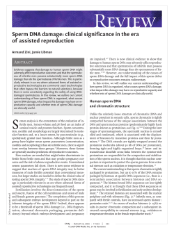 Sperm DNA damage: clinical significance in the era of assisted