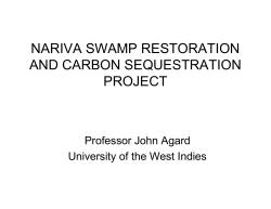 Nariva Swamp Study