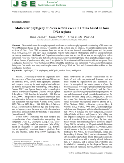 Molecular phylogeny of Ficus section Ficus in China based on four