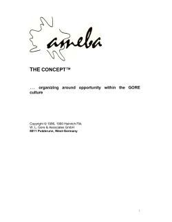 Ameba Concept - WordPress.com